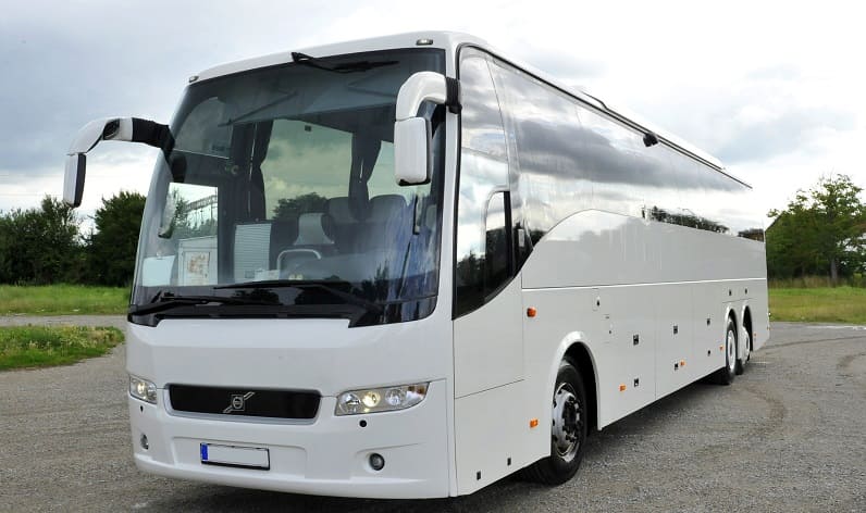 England: Buses agency in Rotherham in Rotherham and United Kingdom